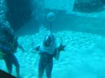 Thumb for shark12.jpg (141 KB)