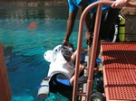 Thumb for shark4.jpg (202 KB)