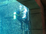 Thumb for shark9.jpg (166 KB)