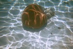 Thumb for coral2.jpg (945 KB)