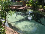 Thumb for nursesharks.jpg (225 KB)